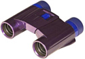 Kenko Ultra View 8x21 DH Purple 1114568