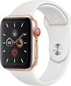 Apple Watch Series 5 44mm GPS + Cellular Aluminum Case with Sport Band