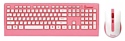 SmartBuy SBC-303319AG-I Pink USB