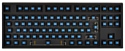 WASD Keyboards V2 88-Key ISO Barebones Mechanical Keyboard Cherry MX Blue black USB