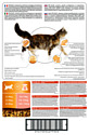 Purina Pro Plan Elegant Adult для взрослых кошек с чувствительной кожей с лососем (10 кг)