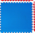 DFC ППЭ-2025 9878 (синий/красный)