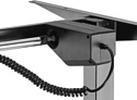 ErgoSmart Electric Desk (черный)