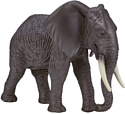Konik Африканский слон Самка AMW2090