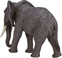 Konik Африканский слон Самка AMW2090
