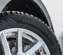 Ikon Tyres Nordman 8 175/65 R14 86T (шипы)