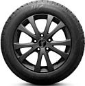 Windforce Snowblazer 225/65 R17 102T