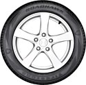 Firestone Roadhawk 205/55 R16 91H