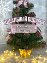 Merry Bear настольная шишками 0.5 м