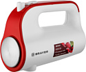 Brayer BR1307