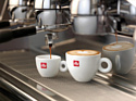 ILLY Arabica Selection Guatemala зерновой 250 г