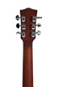 Sigma Guitars DM-SG5+