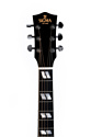 Sigma Guitars DM-SG5+