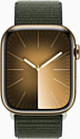 Apple Watch Series 9 45 мм (стальной корпус, нейлоновый ремешок)