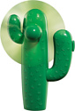 Cilio Cactus