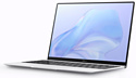 Huawei MateBook X 2020 (EUL-W19P 53011EBR)