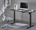 ErgoSmart Electric Desk Prime 1200х650х18 мм (альпийский белый/черный)