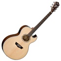 Washburn EA20SNB