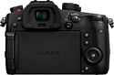 Panasonic Lumix GH5 II Kit