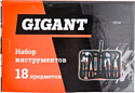 Gigant GT-18 18 предметов