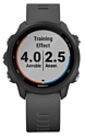 Garmin Forerunner 245