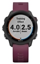 Garmin Forerunner 245