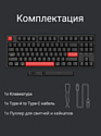 Keychron C3 Pro RGB C3P-H1-RU Gateron G Pro Red Keychron C3 Pro RGB C3P-H1-RU Gateron G Pro Red