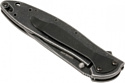 Kershaw 1660BLKW Leek