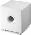 Focal CUB 3