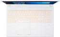 Acer ConceptD 3 CN315-71-76T2 (NX.C57ER.001)