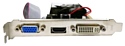 Sinotex Ninja Radeon R5 230 (120SP) 2GB (AXR523023F)