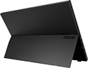 ASUS ZenScreen Ink MB14AHD