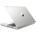 HP ProBook 455 G7 (1F3M8EA)