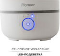 Pioneer HDS30