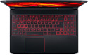 Acer Nitro 5 AN515-55-707X (NH.QB2ER.001)