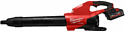 Milwaukee M18 FUEL M18F2BL-802 4933479988 (с 2-мя АКБ)