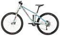 Cube Sting WS 120 Exc 29 (2019)