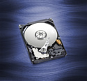 Western Digital Blue 500GB (WD5000LPVX)
