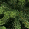 National Tree Company Зеленая красавица премиум ЗКП-210 (210 см)