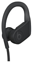 Beats Powerbeats High-Performance Wireless