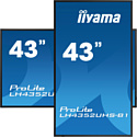 Iiyama ProLite LH4352UHS-B1