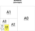 BRAUBERG А4 80 г/м2 100 л 112449 (красный)