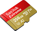 SanDisk Extreme microSDXC SDSQXA1-256G-GN6GN 256GB