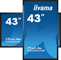 Iiyama ProLite T4362AS-B1