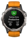 Garmin Fenix 5 Plus Sapphire титановый