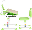 Anatomica Avgusta + стул + выдвижной ящик + светильник + подставка (клен/зеленый)