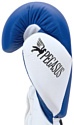 Green Hill Pegasus Aiba Pro BGP-2239 (10 oz, белый/синий)