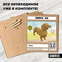 QBRIX Такса 3D 20097
