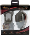 Ritmix RCH-610 Limited Edition