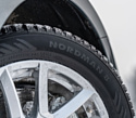 Nokian Nordman 8 215/50 R17 95T XL